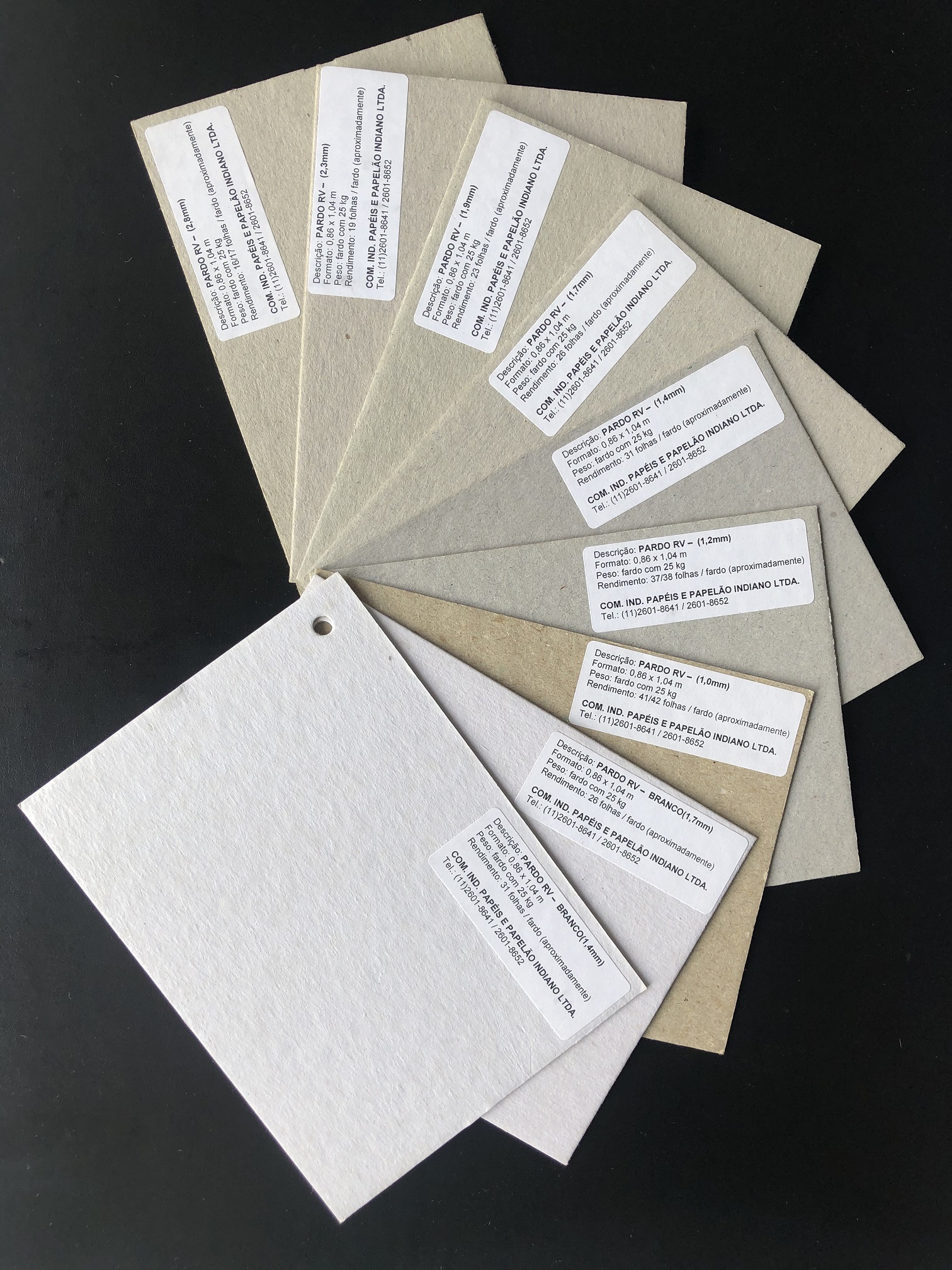 Papelao pardo RV.jpg