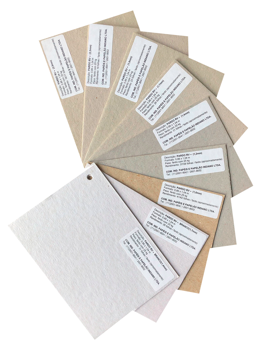 papelao-pardo-rv.png